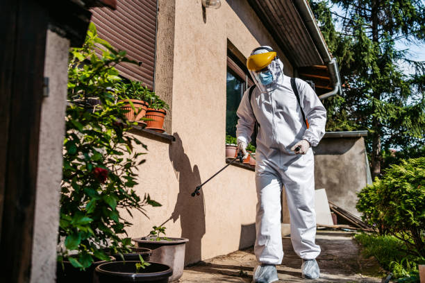 Best Cockroach Control Services  in West Branch, IA