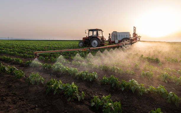 Best Local Pest Control Services  in West Branch, IA