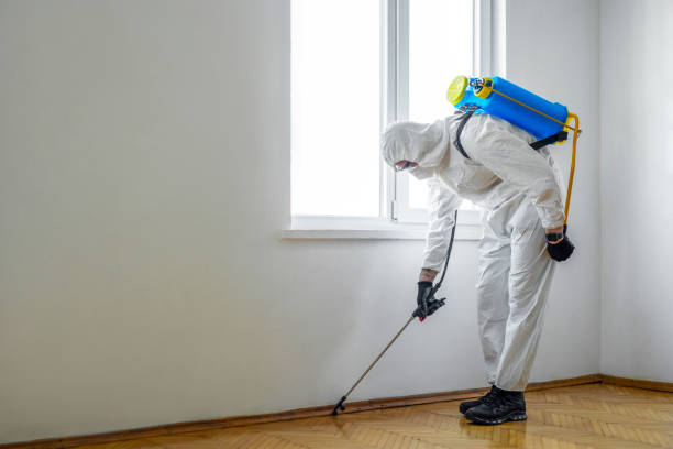 Best Commercial Pest Control Services  in West Branch, IA